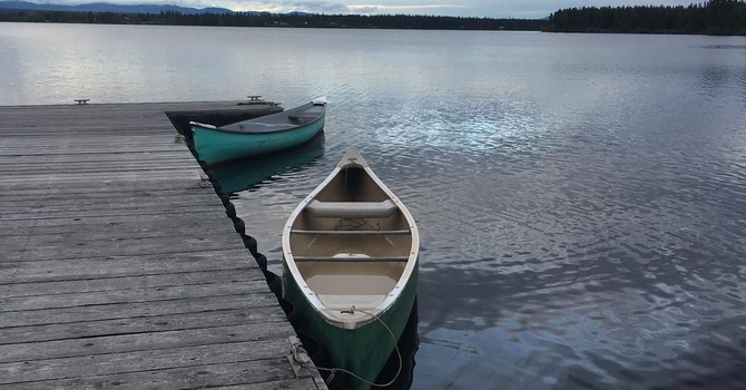 The Women's Health Initiative