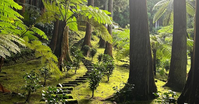 6-Pillar Balance: Chronic Disease Prevention | Reversal