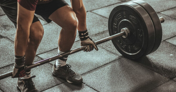 Exercise Programming and Support