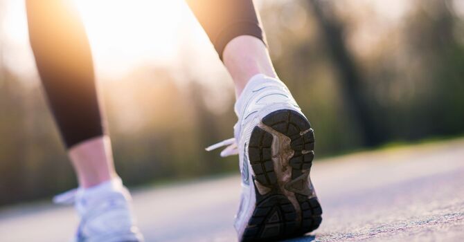 The Women's Health Initiative